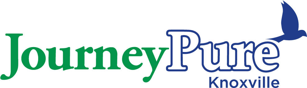 Journeypure Knoxville - Final Fantasy Crystal Chronicles (1500x750)