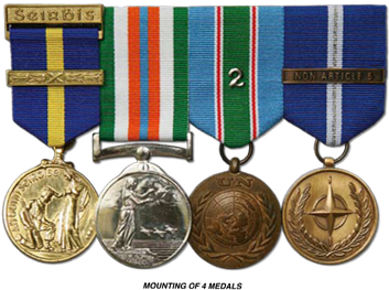 Mounted Medals - Irish Defence Forces Medals (459x272)