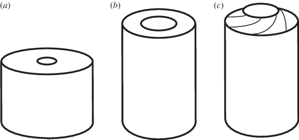 Download - Circle (600x281)