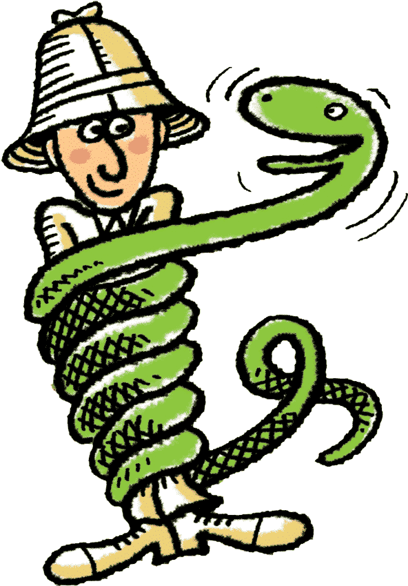Anaconda - Anaconda Clipart (626x900)