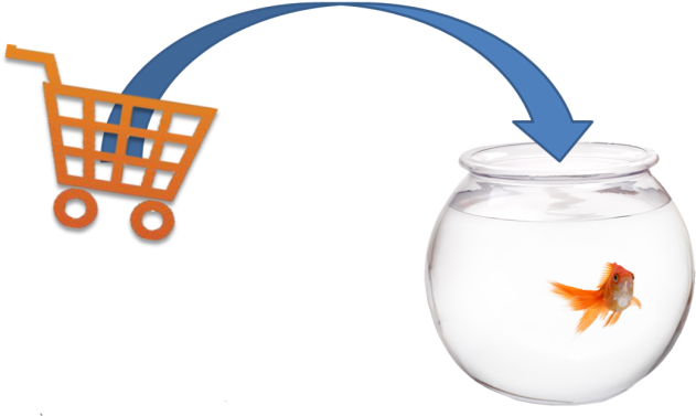 Fishbowl Inventory Shopping Cart - Goldfish With Shark Fin (637x389)