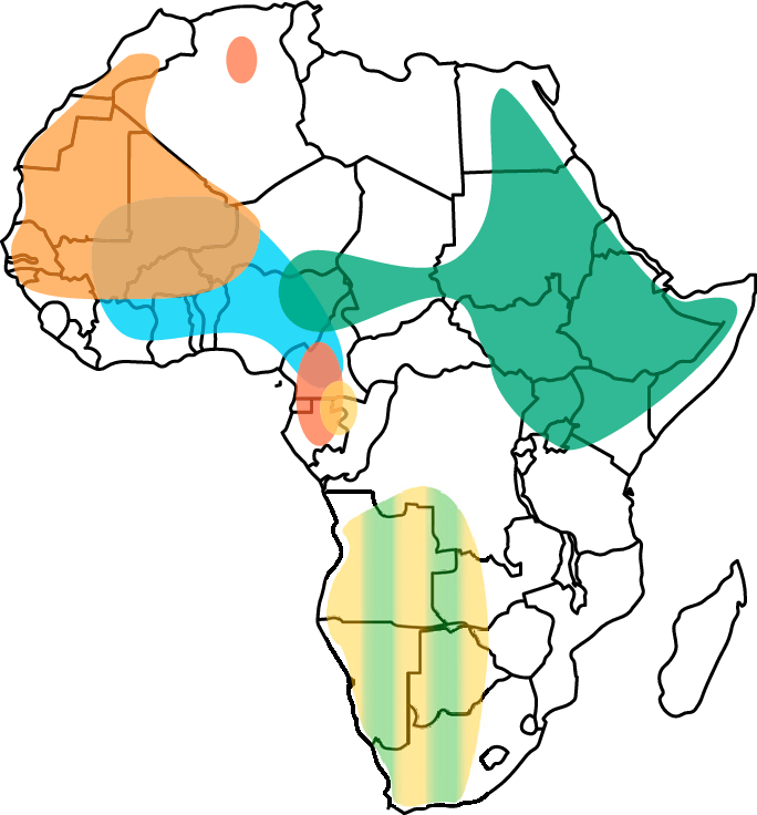 Geographic Distribution Of Deep Rooting Haplogroups - Fill In Map Of Africa (684x736)
