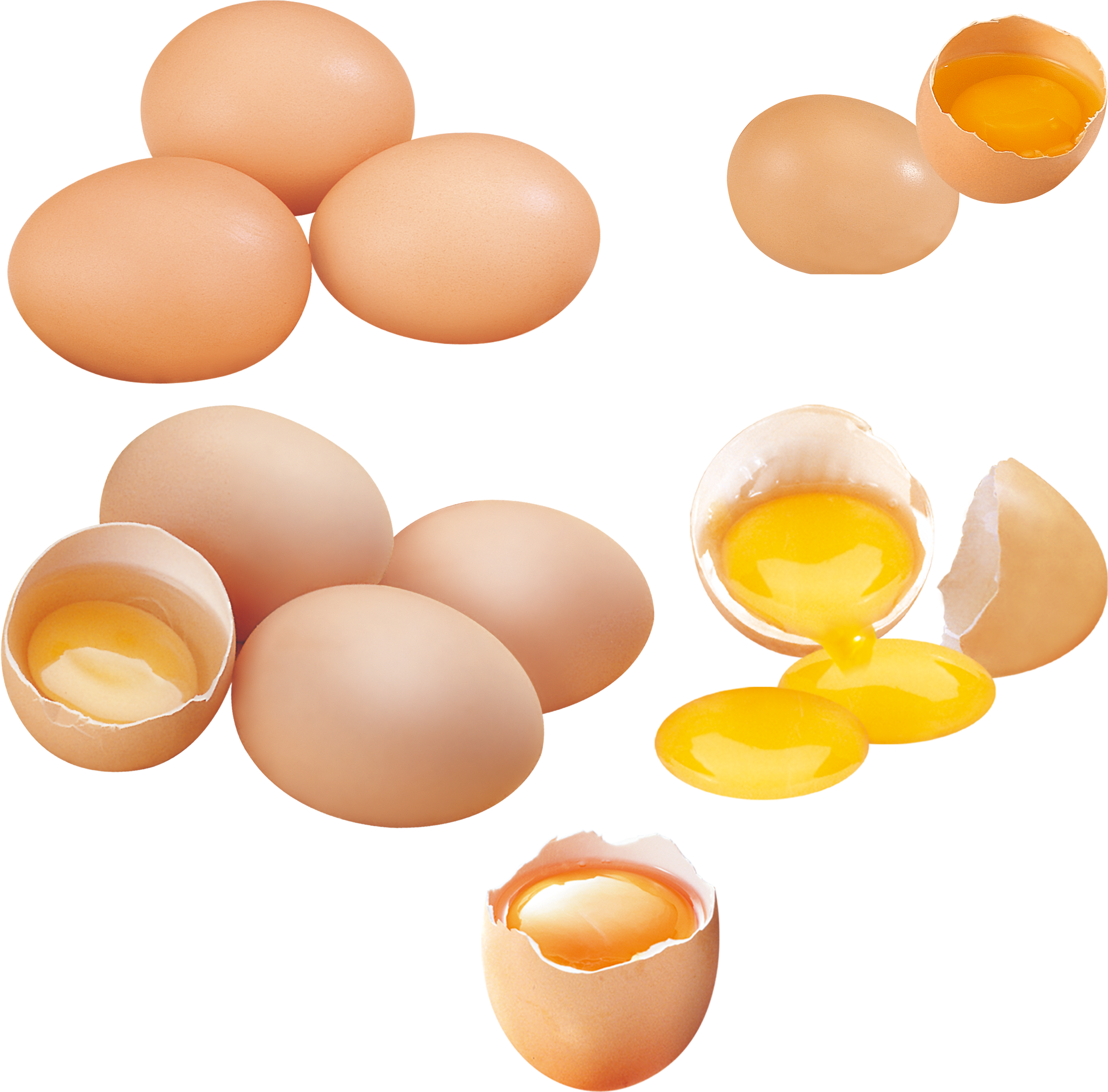 Yolk Chicken Eggshell - Egg (3508x3543)