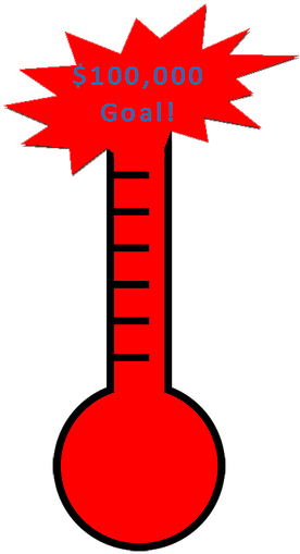 We Are Pleased To Announce That We Reached Our Fundraising - Emergency (300x563)