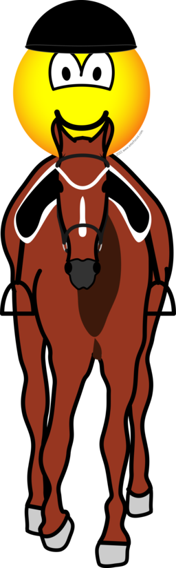 Horse Riding Emoticon - Air Traffic Controller (256x823)