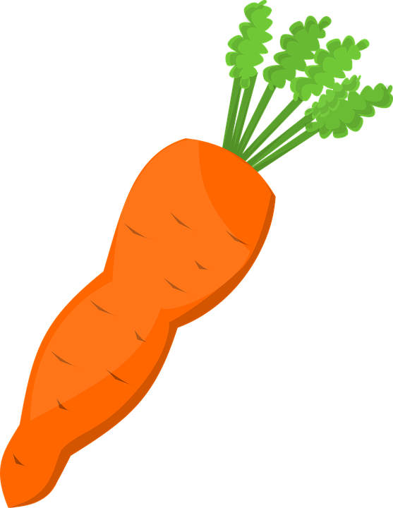 Cartoon Carrot 22, Buy Clip Art - Clipart Carrot (557x720)