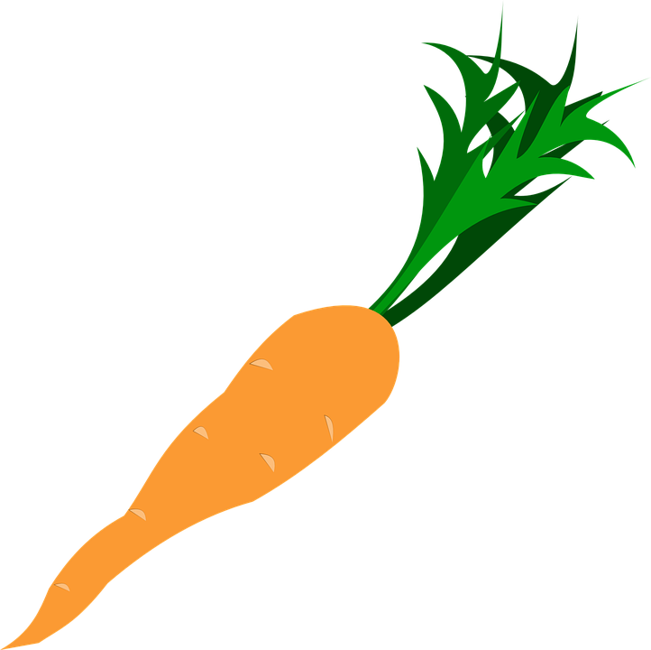 Picture Of A Carrot 24, Buy Clip Art - Carrot Clipart Png (722x720)