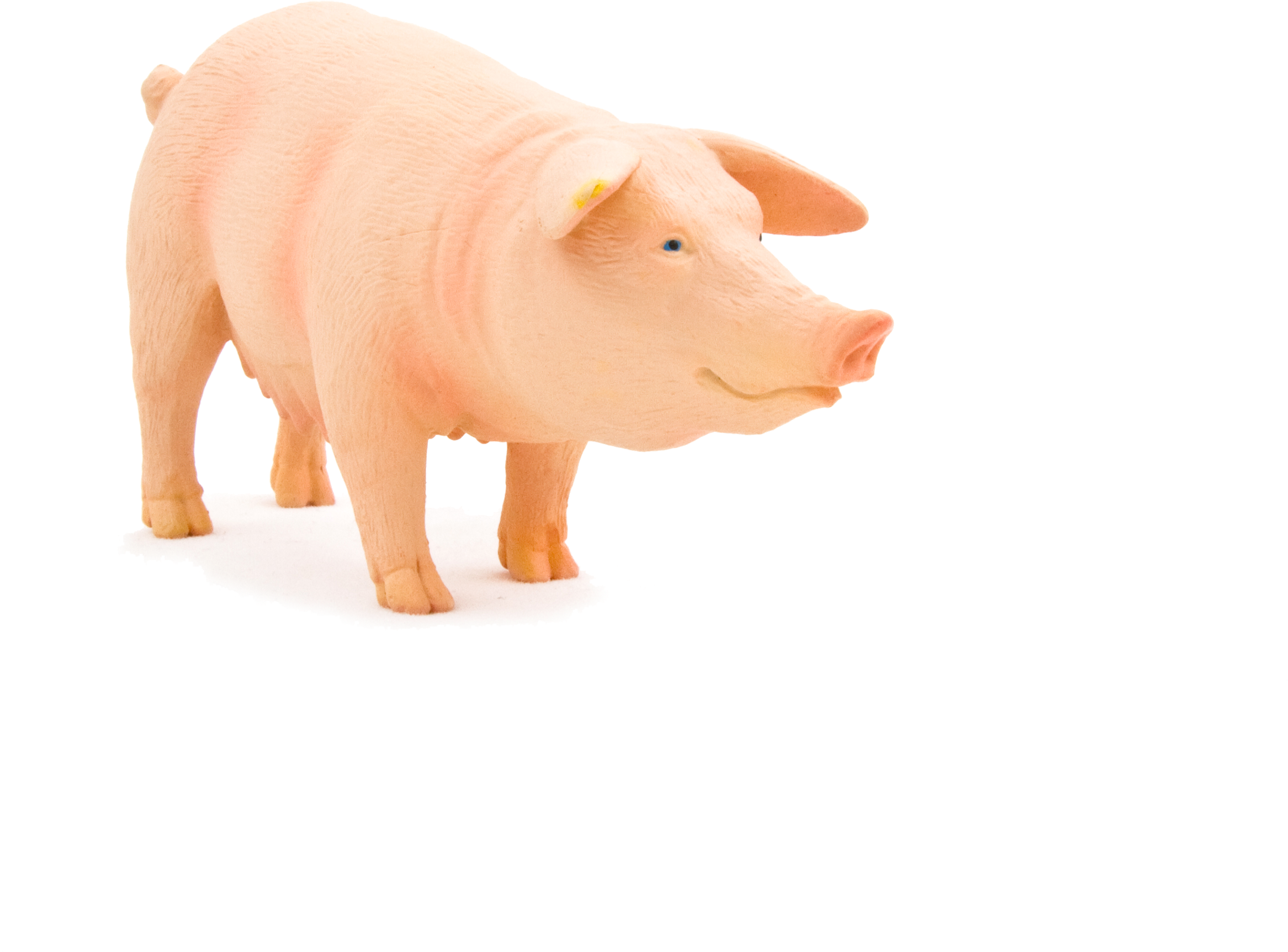 Animal Planet Pig - Animal Planet 7054 Maciora Rozmiar: M (gxp-531565) (5197x3465)