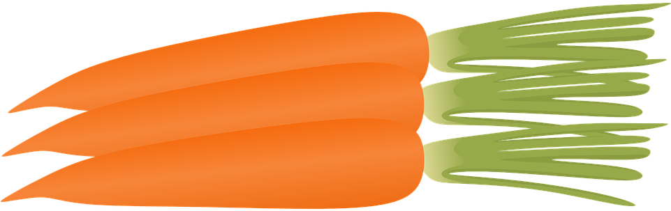 Carrot Clipart Orange Color - Bunch Of Carrots Clipart (960x480)