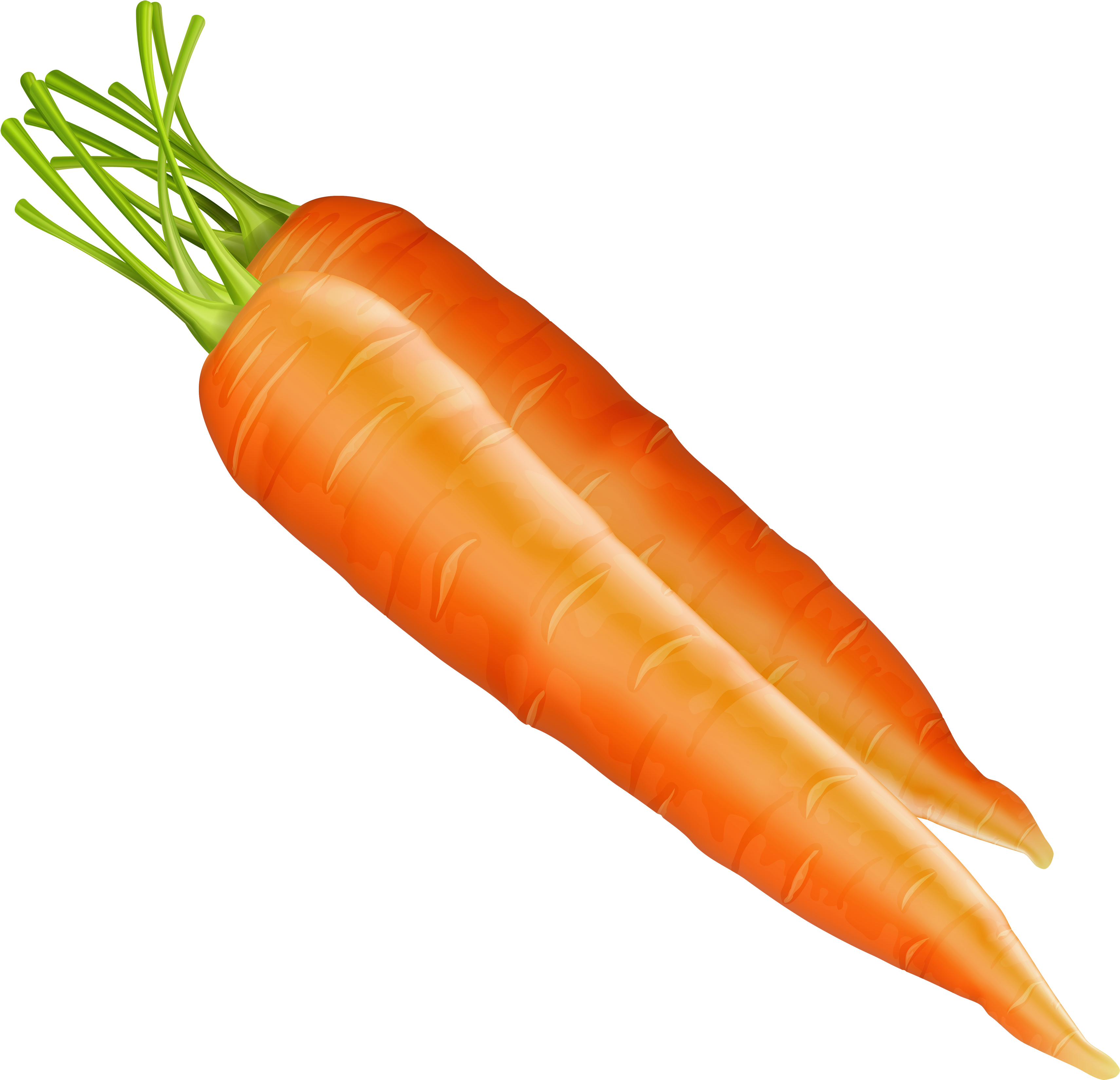 Carrots Png Clipart - Carrots Png (3500x3374)