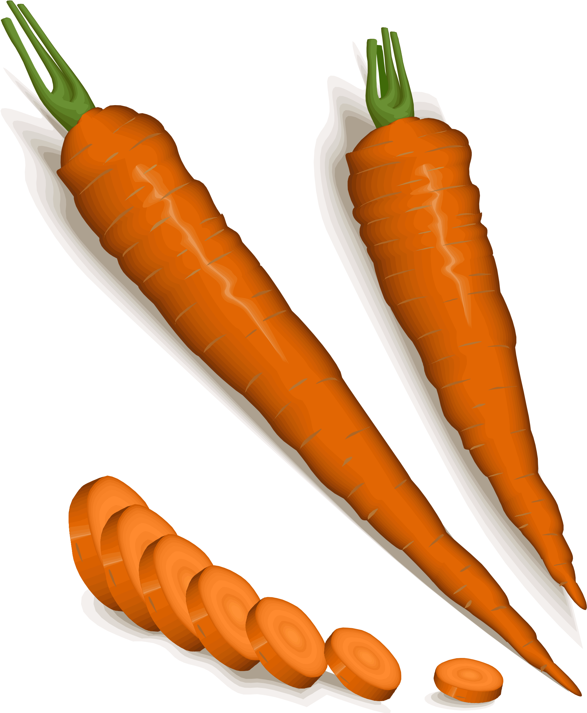 Free Photos > Public Domain Images > Orange Carrots - Carrot (2000x2400)