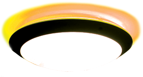 Leader Circle-or - Ceiling (704x736)