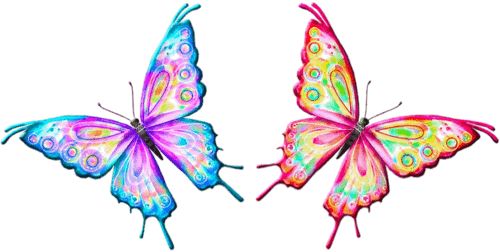 Beautiful Colorful Cartoon Butterfly Vector - Flying Butterfly Animation For Powerpoint (500x252)