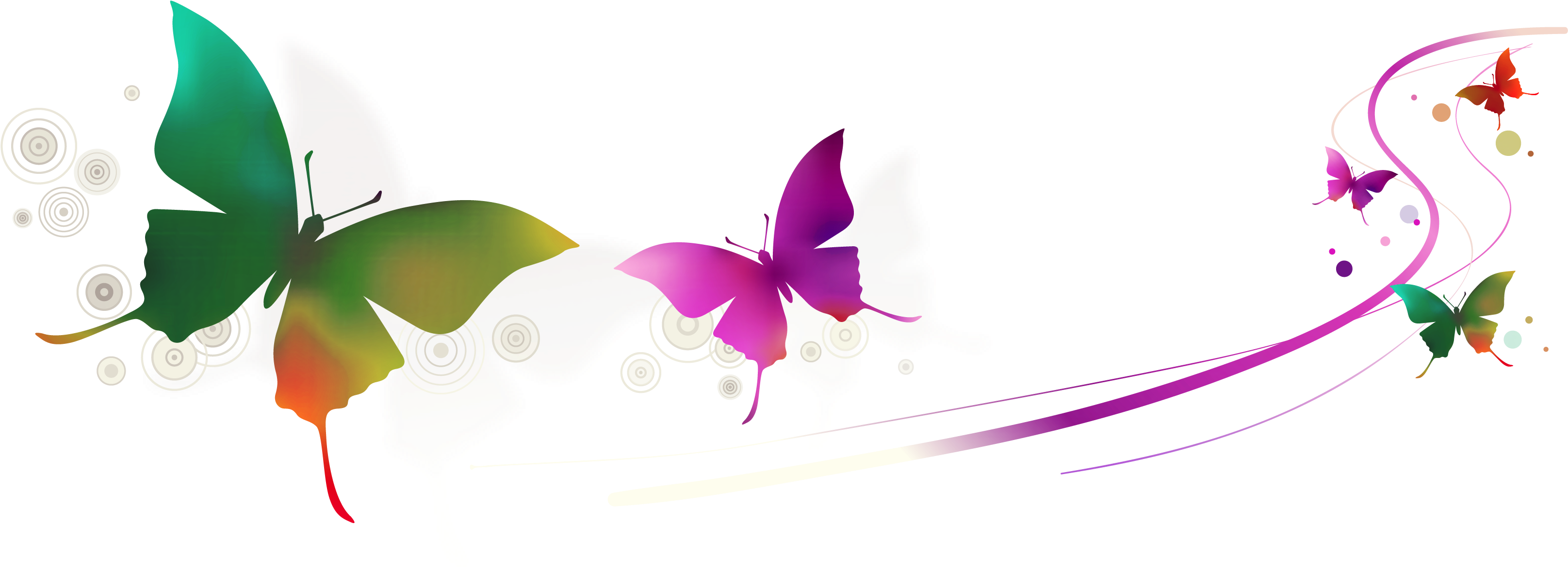 Vector Colorful Butterfly - Kad Ucapan Hari Guru (3333x1619)