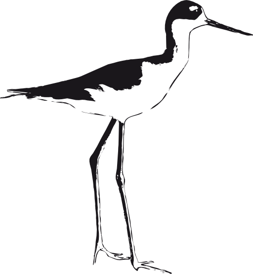 Prospect & Greenwood , The Floodgates Opens Abit - Stilt Birds Illustrations (693x750)