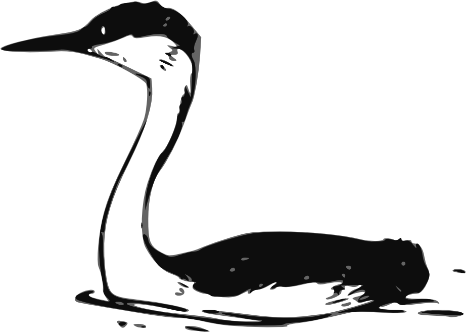 Clip Art Details - Custom Goose Shower Curtain (1000x1097)
