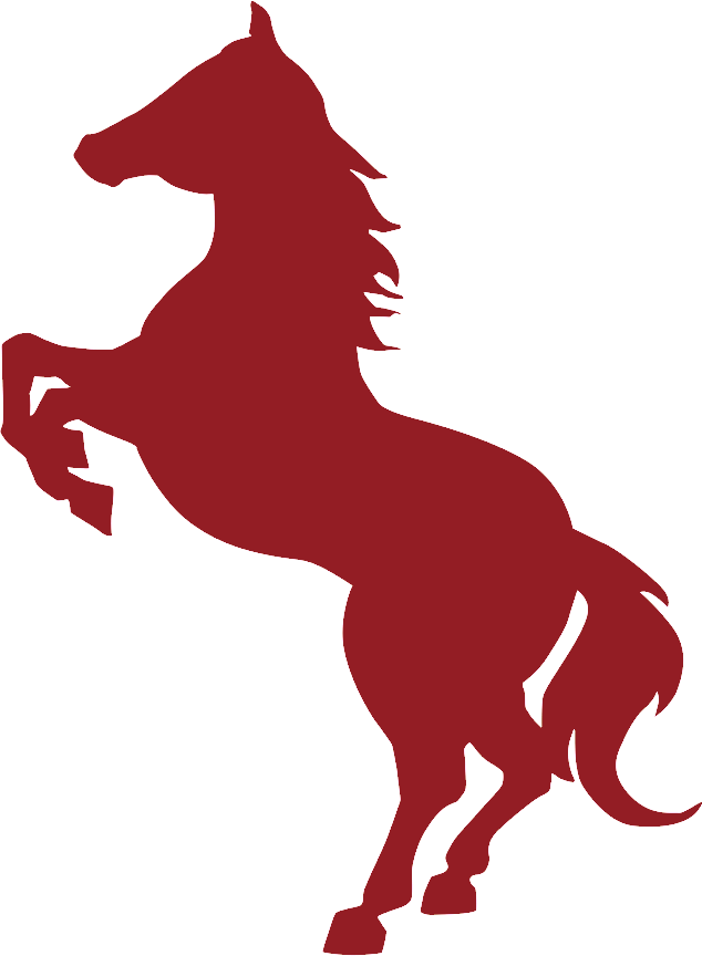 Carolina Riding School - Black Horse (634x864)