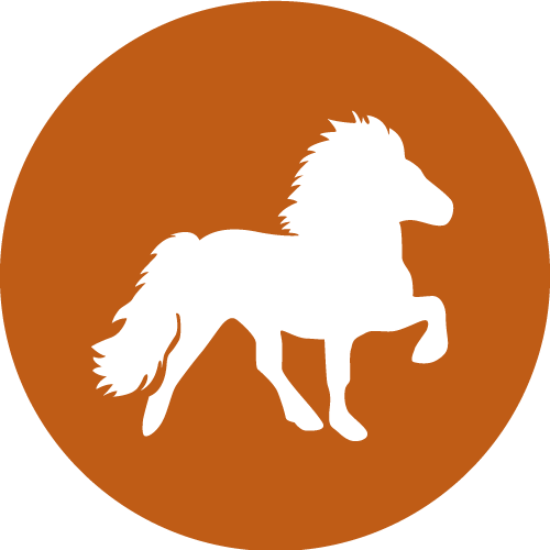 Portrait Of A Man (500x500)