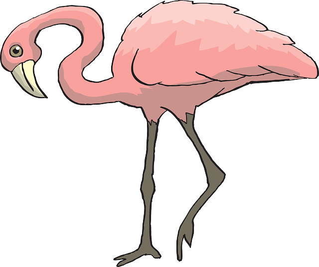 Pink, Bird, Flamingo, Long, Neck, Animal, Beak, Curious - Pink Bird Long Neck (640x536)