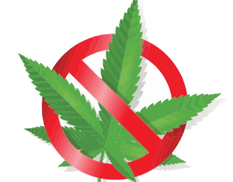 Medium Image - No Cannabis (800x626)