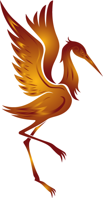 March Break Camp 2018 - Ciconiiformes (361x689)