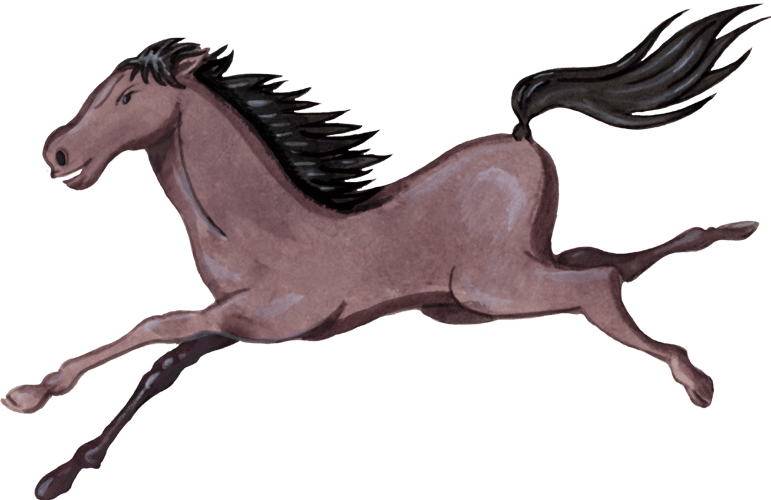Cheval - Clip Art Pferde Transparent (771x500)