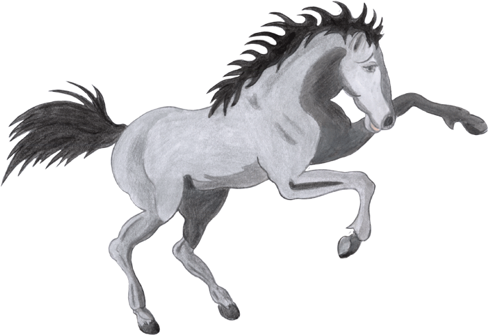 Cheval - Gifs Imagenes De Caballos (720x500)