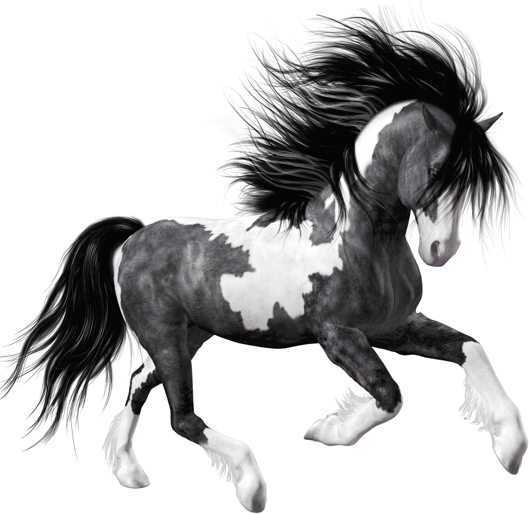 White Black Horse Png Clipart Picture - Black And White Horse Png (1750x1750)