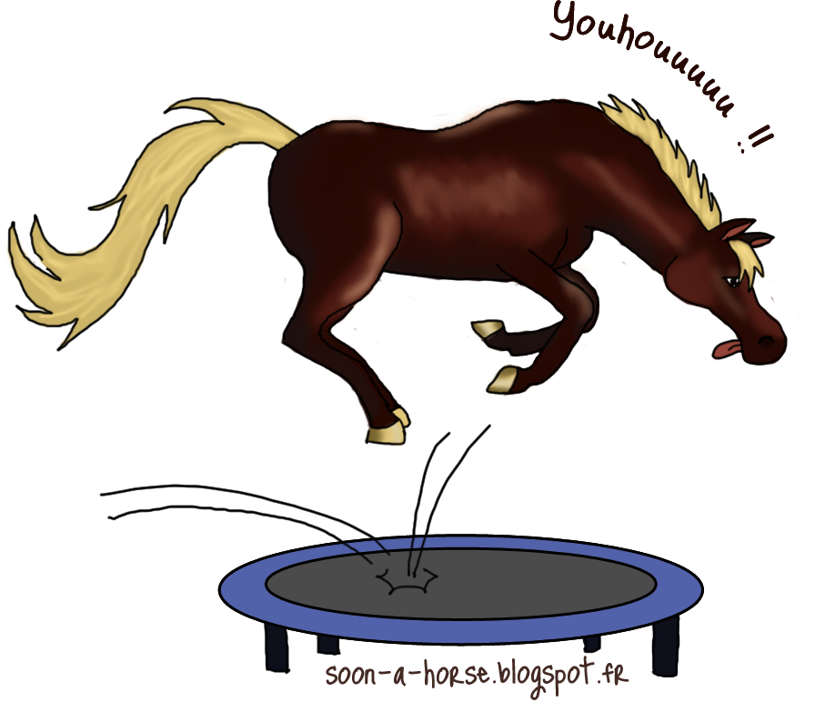 Résultats Cso - Horse (896x772)