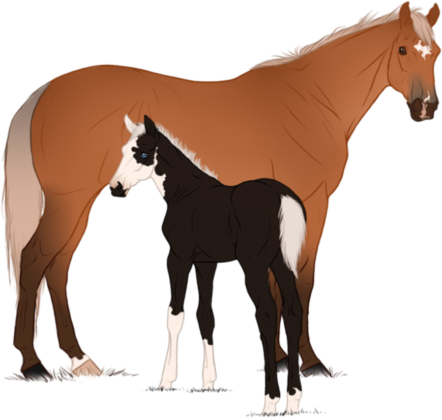 Racebred Qh Mare And Foal Adoptable - Foal (894x894)