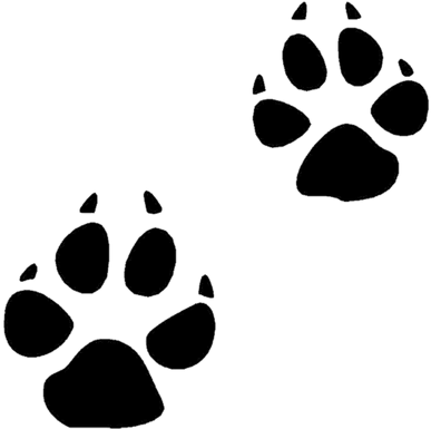 Belong To My Dog Pillow Case (400x400)