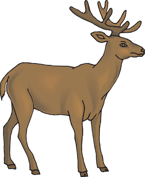 Brown Deer Clip Art At Clker Com Vector Clip Art Online - Deer Clipart (492x598)