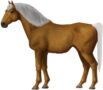 Palomino Standardbred Colt - Horse (450x300)