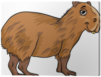 Capybara Animal Cartoon Illustration Canvas Print • - Capybara Cartoon (400x400)