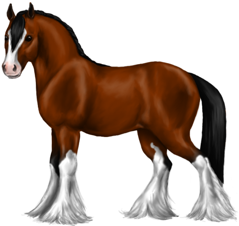 Quin Clydesdale - Clydesdale Cartoon (480x455)