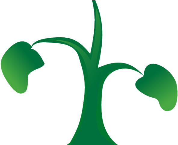 Seedling Cliparts - Seedling Cliparts (640x480)