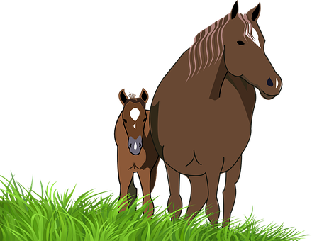 Foal Mare Horse Animal Foal Mare Horse Hor - Horse And Foal Clipart (440x340)