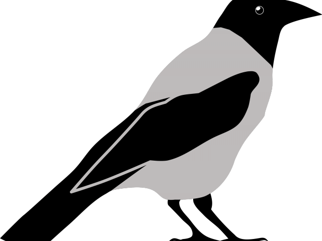 Crow Clipart Big Black - Crow Clipart Png (640x480)