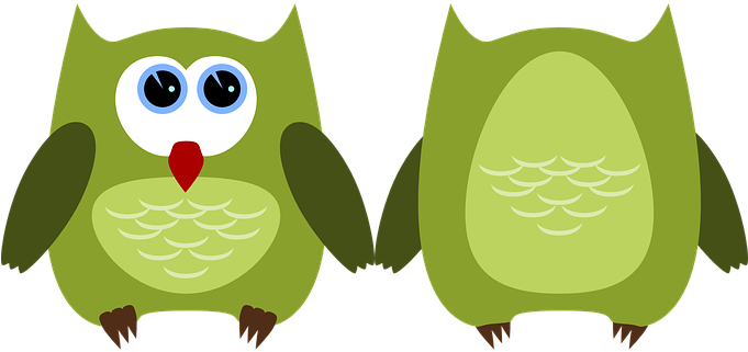 Owl Bird Animal Plumage Cute Feather Birds - Bright Red Owl Oval Ornament (680x340)
