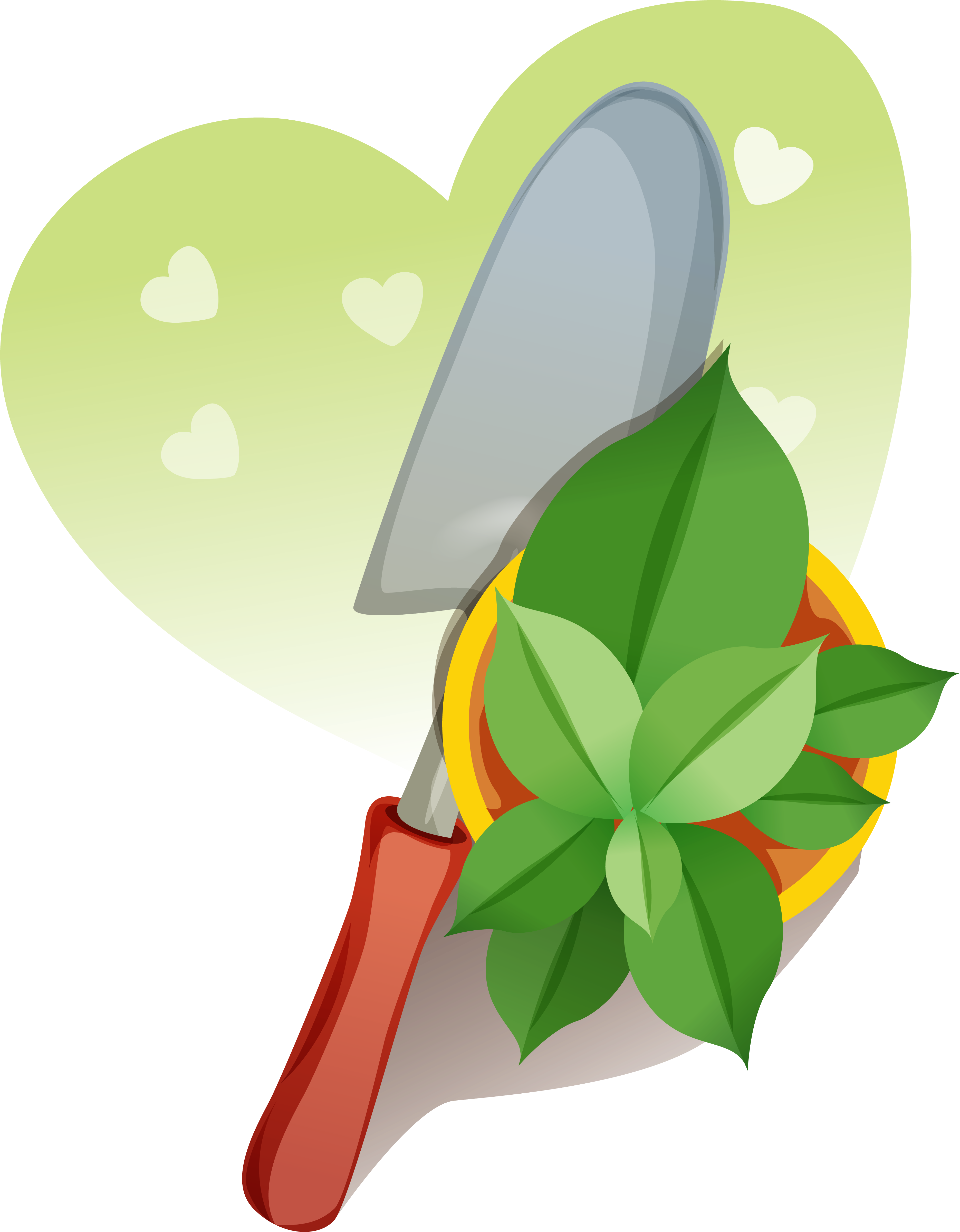 Картинка В Png - Anthurium (4103x4813)