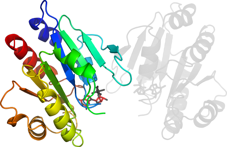 Graphic Design Clip Art - Illustration (769x500)