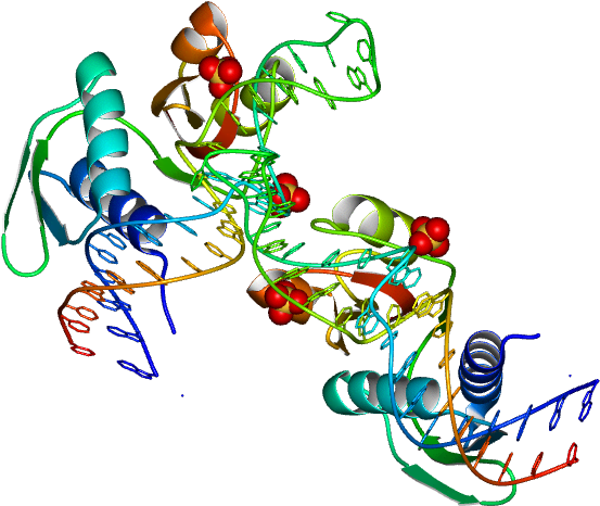 Graphic Design Logo Clip Art - Illustration (768x768)