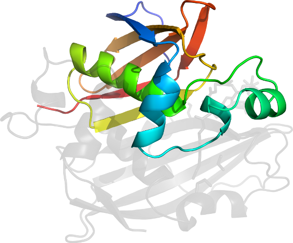 Human Behavior Graphic Design Tree Clip Art - Graphic Design (602x500)