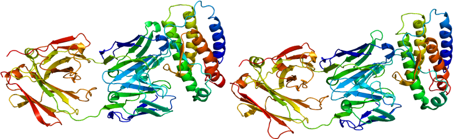 Graphic Design Line Font - Thrombopoetin (947x325)