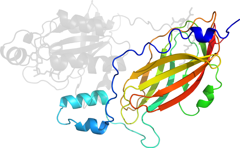Graphic Design Clip Art - Illustration (809x500)