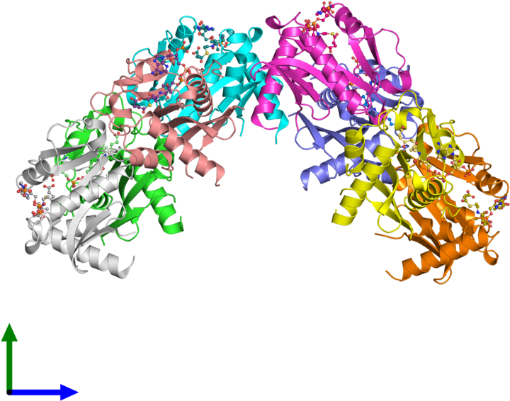 Graphic Design Line Font - Graphic Design (800x800)