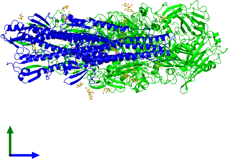 Line Body Jewellery Point Font - Illustration (800x800)