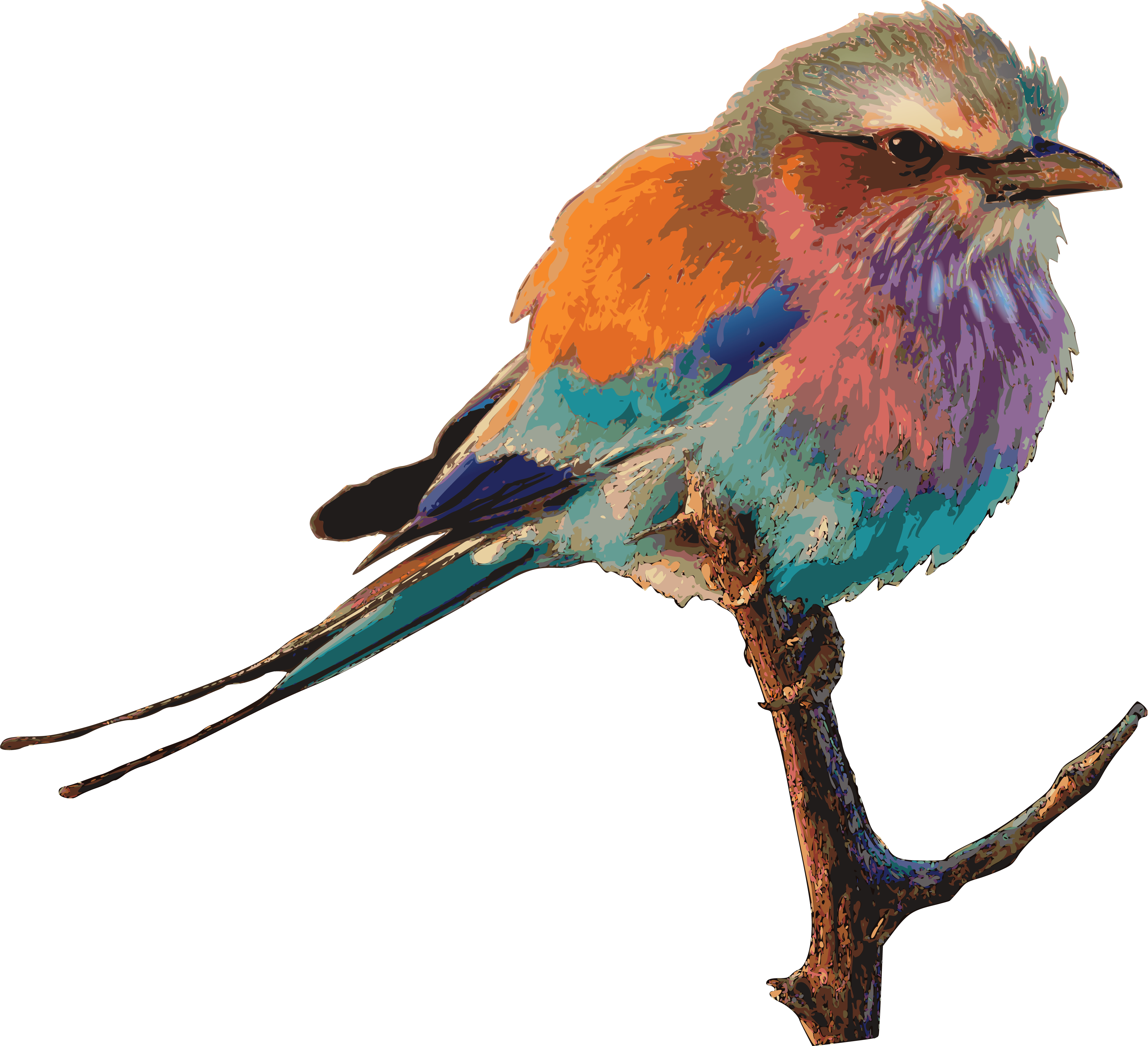 Free Clipart Of A Bird - Dessin Oiseau En Couleur (4000x3647)