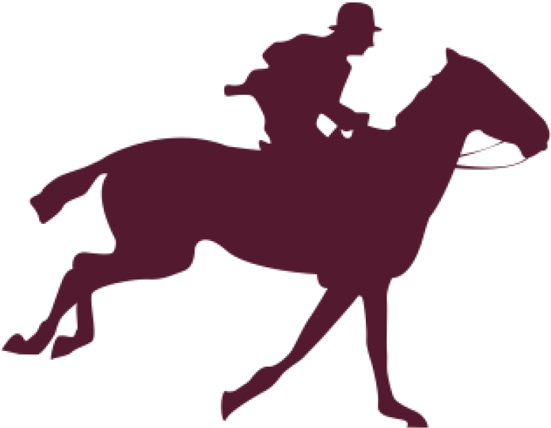 Kentucky Derby 2018 Horses (800x800)