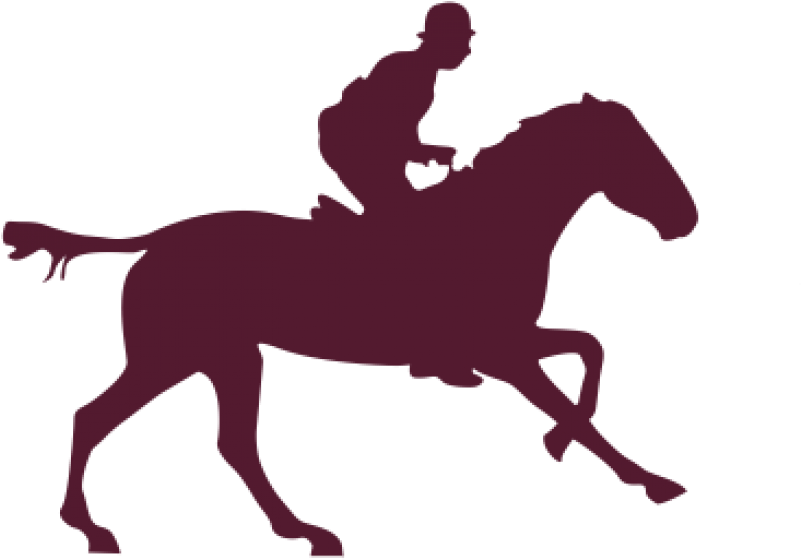 Sequence Images Png (800x800)